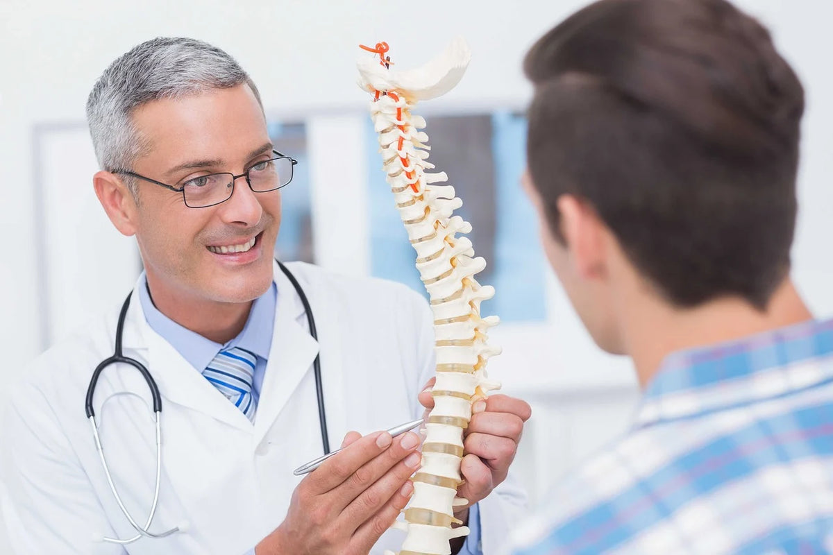 A doctor showing a model of the spine to a seated patient